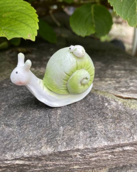 BABYSCHNECKE FRIDOLIN